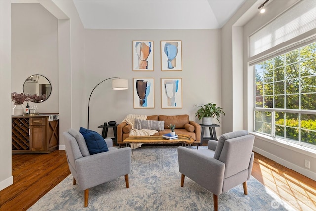 living room featuring healthy amount of natural light, wood finished floors, baseboards, and vaulted ceiling