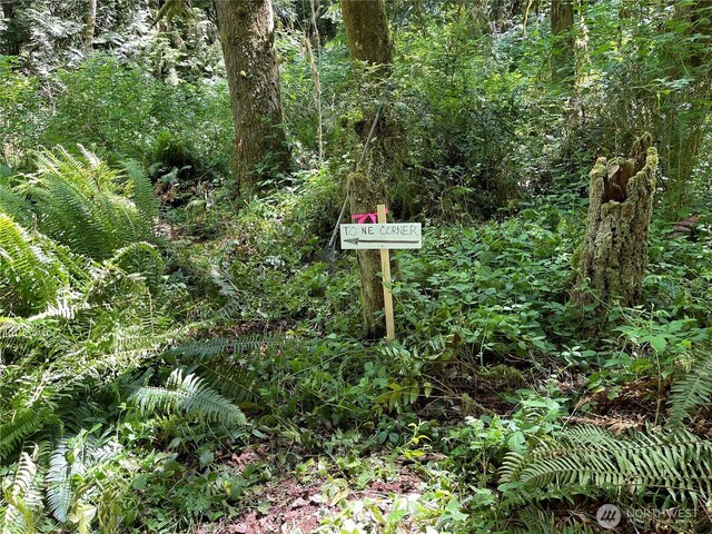 4798 SE Sleepy Hollow Ct, Port Orchard, WA 98366 - photo 8