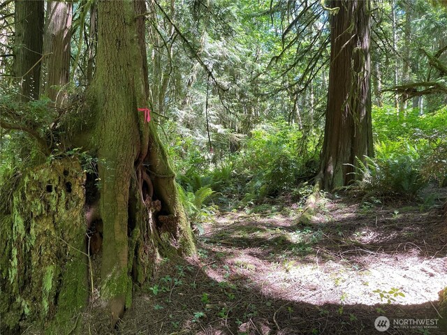 4798 SE Sleepy Hollow Ct, Port Orchard, WA 98366 - photo 7
