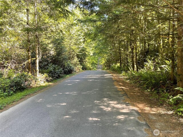 4798 SE Sleepy Hollow Ct, Port Orchard, WA 98366 - photo 12