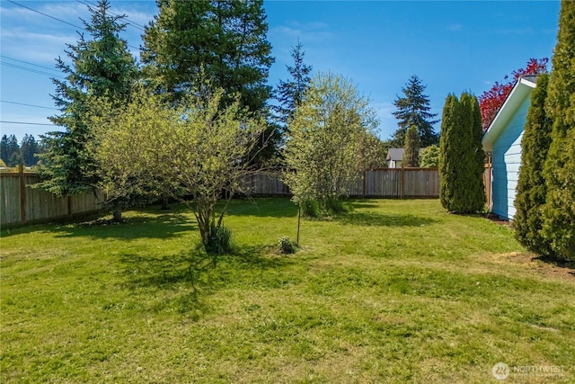 18246 Cinnamon Ln SW, Rochester, WA 98579 - view of yard