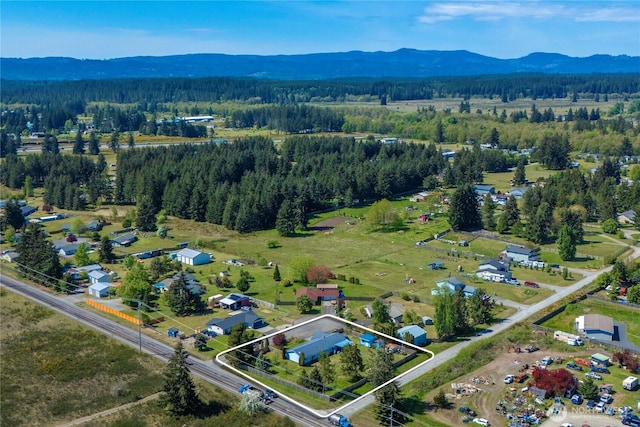 18246 Cinnamon Ln SW, Rochester, WA 98579 - view of property location with property boundaries highlighted, a mountain backdrop, and a heavily wooded area