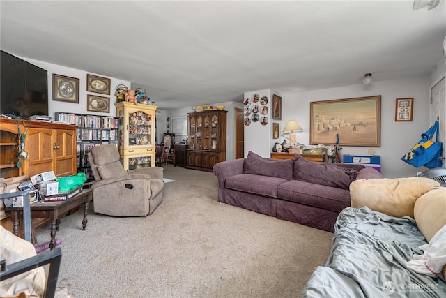 18246 Cinnamon Ln SW, Rochester, WA 98579 - view of carpeted living room