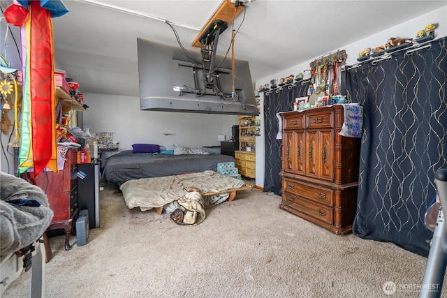 18246 Cinnamon Ln SW, Rochester, WA 98579 - view of carpeted bedroom