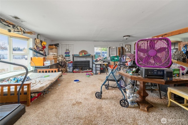 18246 Cinnamon Ln SW, Rochester, WA 98579 - interior space with carpet floors