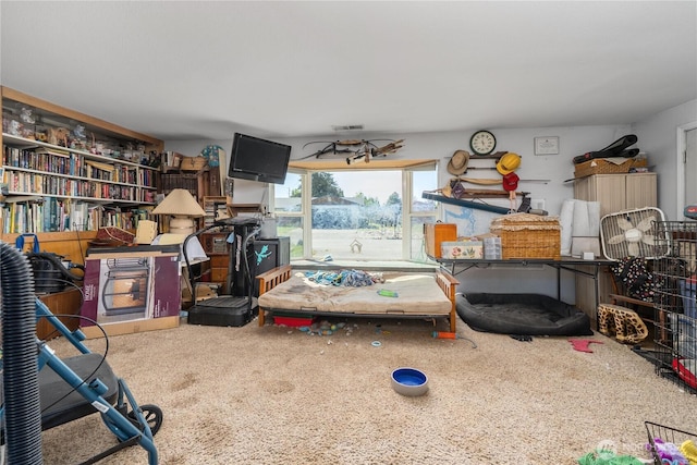 18246 Cinnamon Ln SW, Rochester, WA 98579 - view of storage area