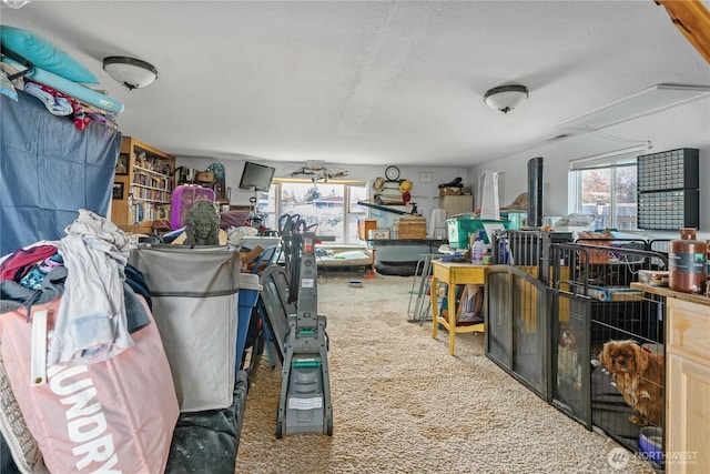 18246 Cinnamon Ln SW, Rochester, WA 98579 - misc room with carpet flooring and a textured ceiling