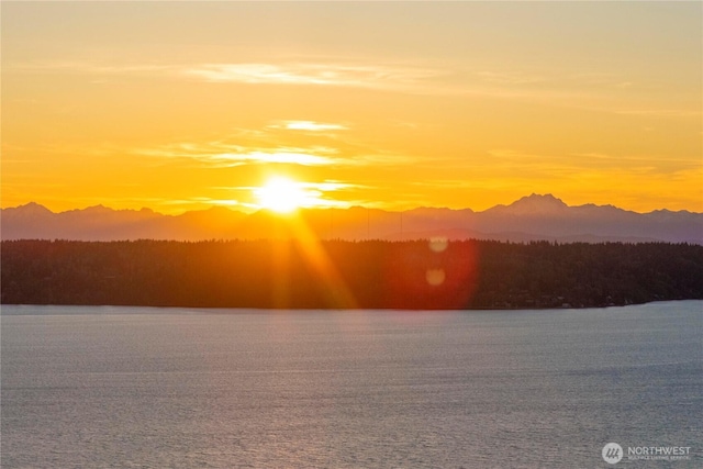 3312 SW 172nd St, Burien, WA 98166 - water view with a mountainous background and a forest