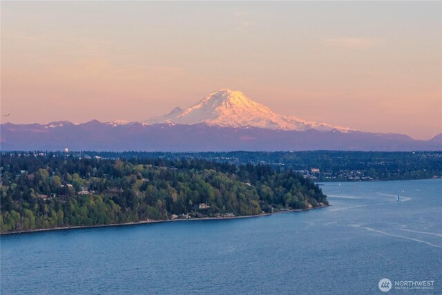 3312 SW 172nd St, Burien, WA 98166 - water view featuring a mountainous background and a heavily wooded area