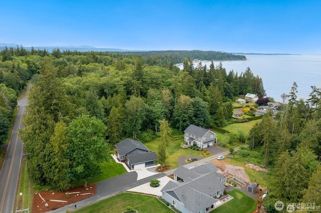 39195 Blackmouth Pl NE, Hansville, WA 98340 - aerial view of property's location with a forest and a nearby body of water