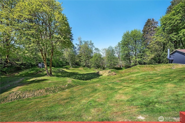 3006 Lindell Rd NE, Olympia, WA 98506 - photo 35