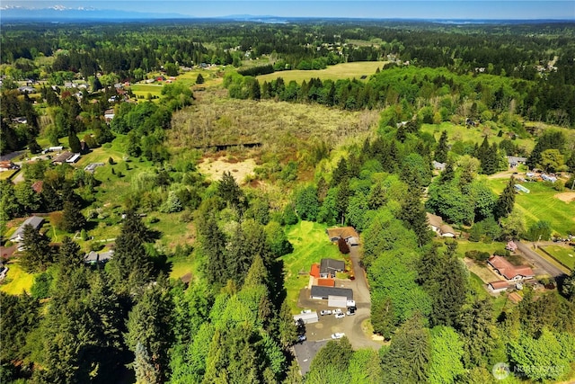 3006 Lindell Rd NE, Olympia, WA 98506 - photo 3