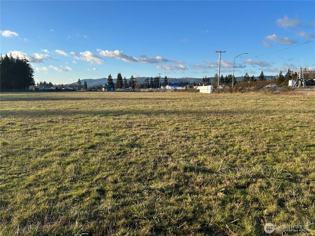 0 Roseburg, Rochester, WA 98579 - photo 1