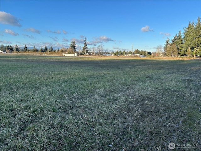 0 Roseburg, Rochester, WA 98579 - photo 3
