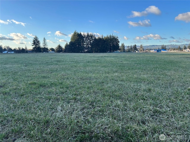 0 Roseburg, Rochester, WA 98579 - photo 4