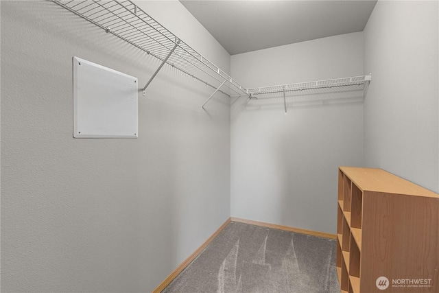 3612 64th St E, Tacoma, WA 98443 - walk in closet with carpet floors