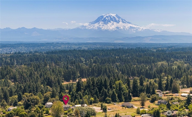 3612 64th St E, Tacoma, WA 98443 - bird's eye view of a heavily wooded area and mountains