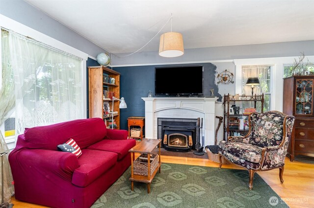 living area featuring plenty of natural light and wood finished floors
