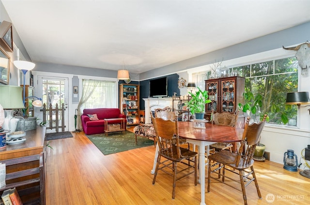 dining room with wood finished floors
