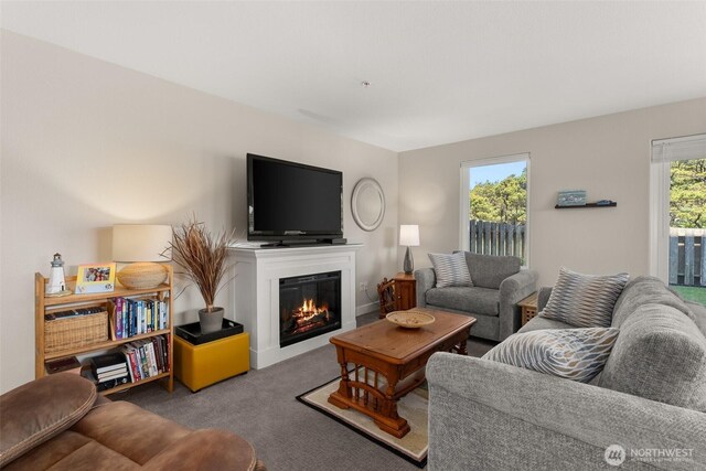 1600 W Ocean Ave Unit 1219, Westport, WA 98595 - photo 8