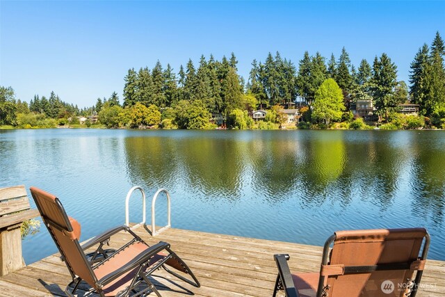 dock area with a water view and view of scattered trees