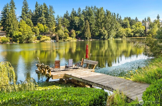 dock area featuring a water view