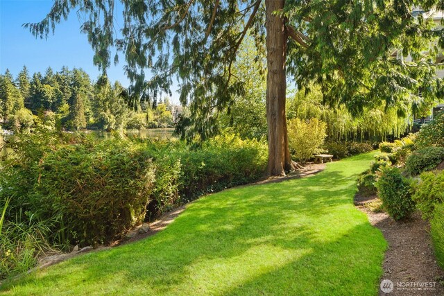 view of green lawn