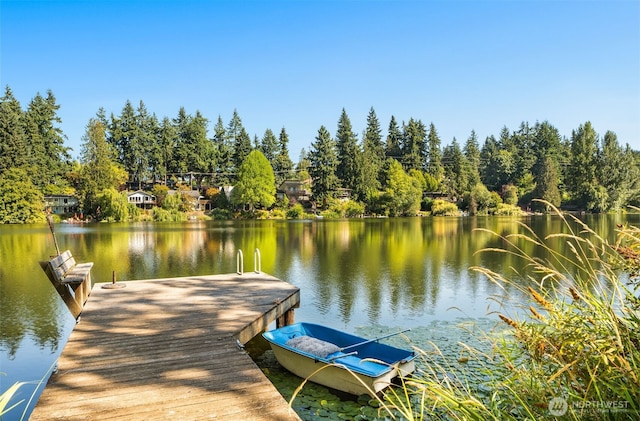 dock featuring a water view