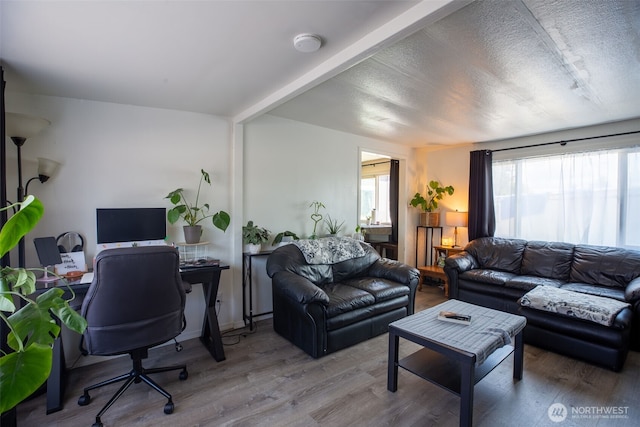 living room featuring wood finished floors and a desk