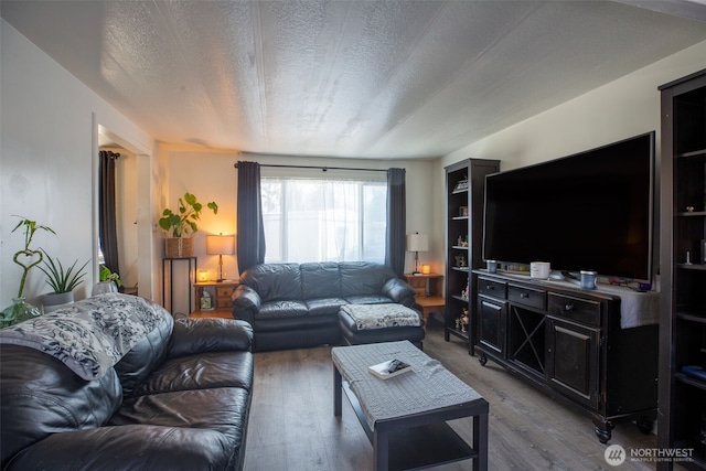 living room featuring wood finished floors and a textured ceiling