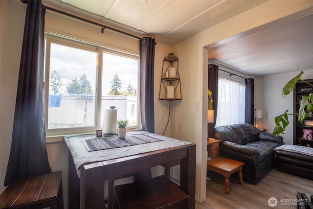 dining space featuring wood finished floors