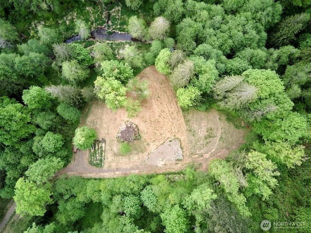 285 Ambler Rd, Ariel, WA 98603