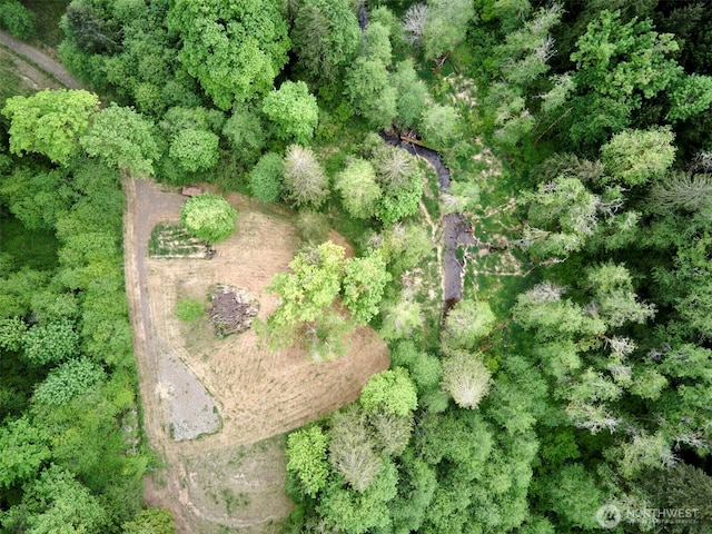 285 Ambler Rd, Ariel, WA 98603