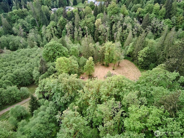 285 Ambler Rd, Ariel, WA 98603