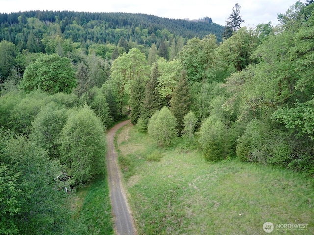 285 Ambler Rd, Ariel, WA 98603