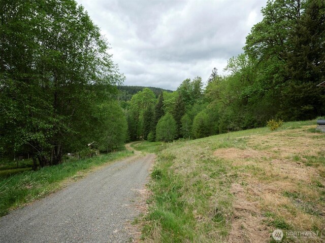 285 Ambler Rd, Ariel, WA 98603