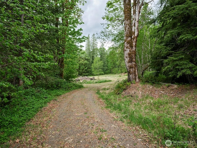 285 Ambler Rd, Ariel, WA 98603