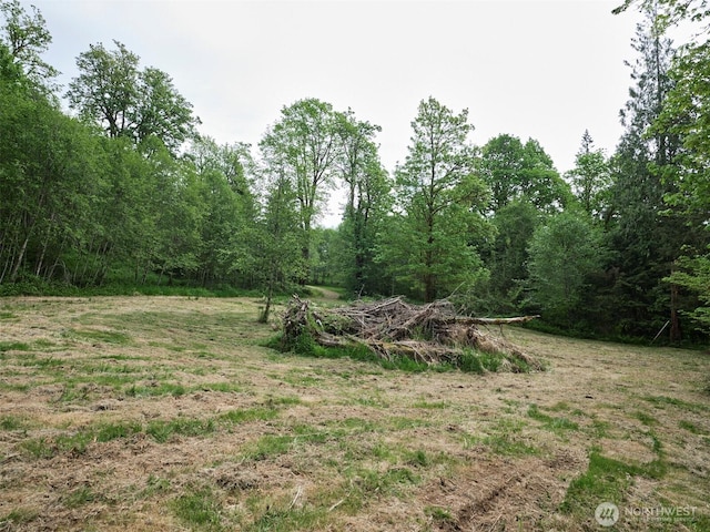 285 Ambler Rd, Ariel, WA 98603