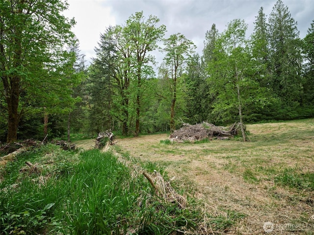 285 Ambler Rd, Ariel, WA 98603