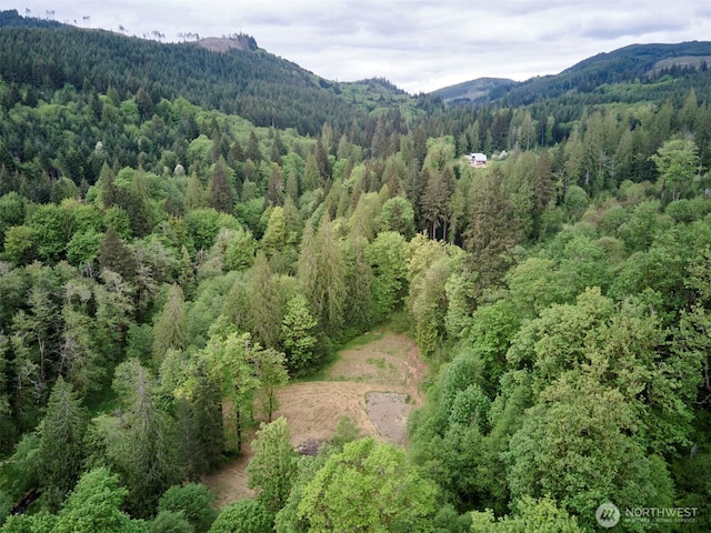 285 Ambler Rd, Ariel, WA 98603