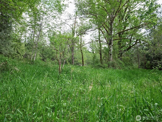 285 Ambler Rd, Ariel, WA 98603