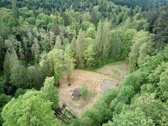 285 Ambler Rd, Ariel, WA 98603