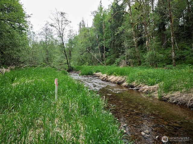 285 Ambler Rd, Ariel, WA 98603