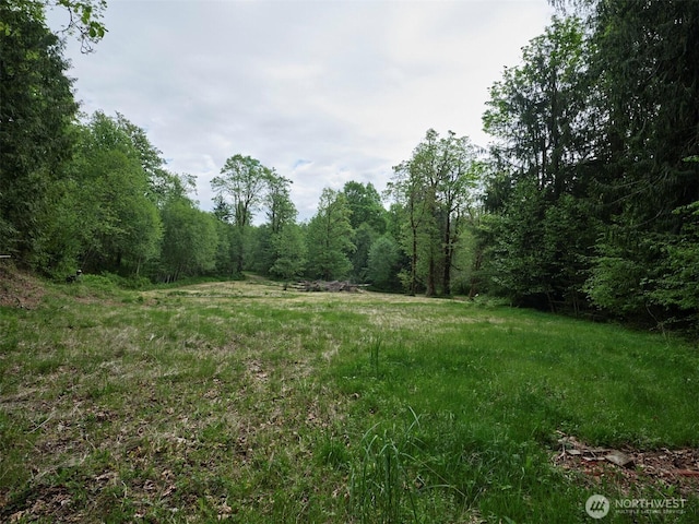 285 Ambler Rd, Ariel, WA 98603