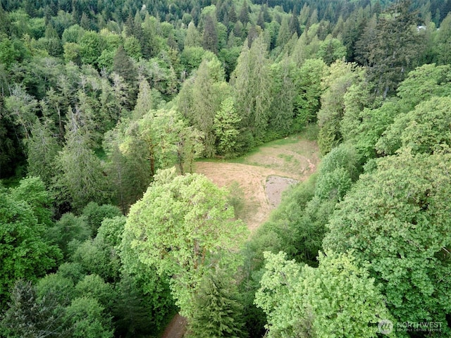 285 Ambler Rd, Ariel, WA 98603