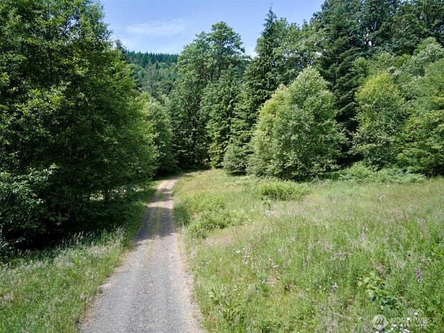285 Ambler Rd, Ariel, WA 98603 - photo 10