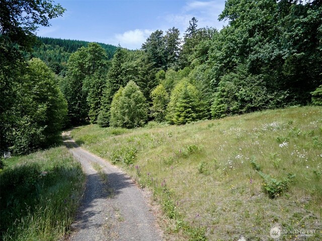 285 Ambler Rd, Ariel, WA 98603 - photo 11