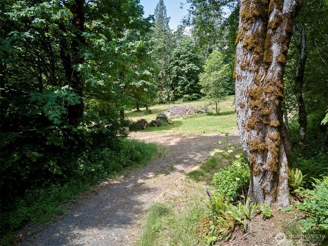 285 Ambler Rd, Ariel, WA 98603 - photo 12