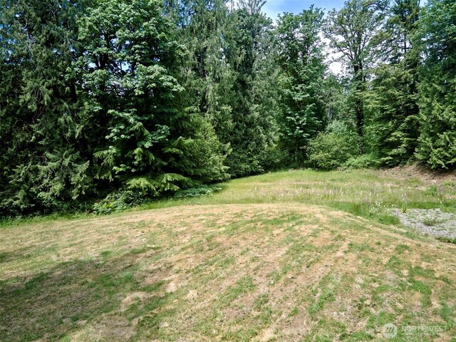 285 Ambler Rd, Ariel, WA 98603 - photo 13