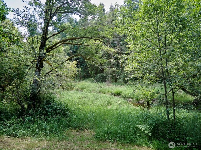 285 Ambler Rd, Ariel, WA 98603 - photo 14
